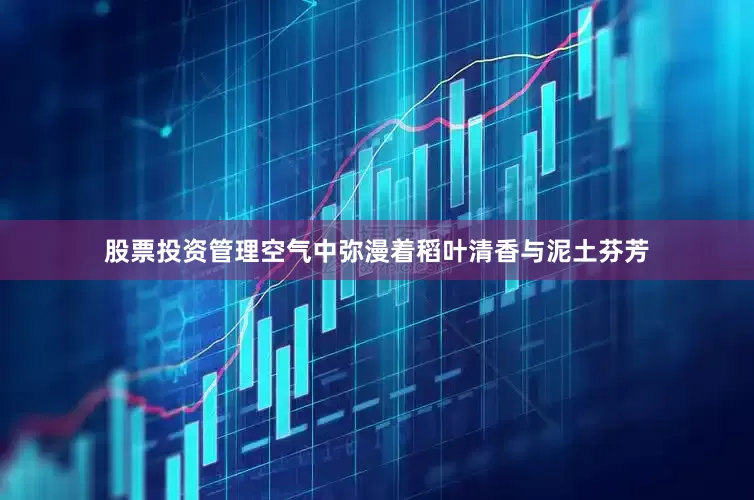 股票投资管理空气中弥漫着稻叶清香与泥土芬芳