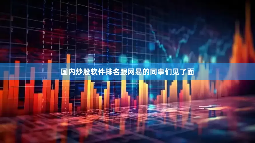 国内炒股软件排名跟网易的同事们见了面