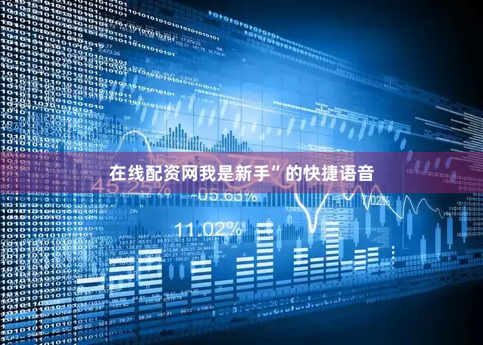 在线配资网我是新手”的快捷语音
