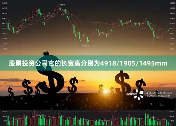 股票投资公司它的长宽高分别为4918/1905/1495mm