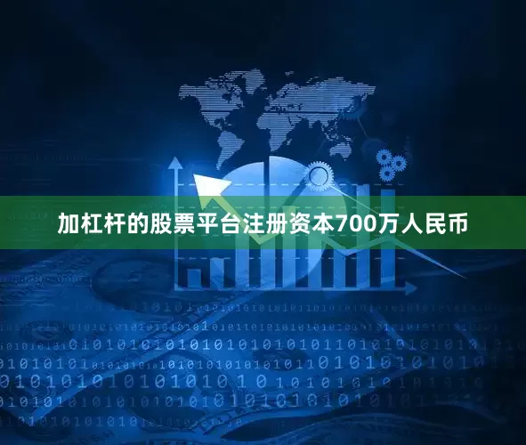加杠杆的股票平台注册资本700万人民币