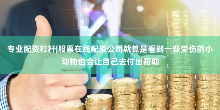 专业配资杠杆|股票在线配资公司就算是看到一些受伤的小动物也会让自己去付出帮助